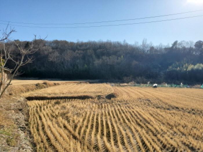 물건 대표 사진
