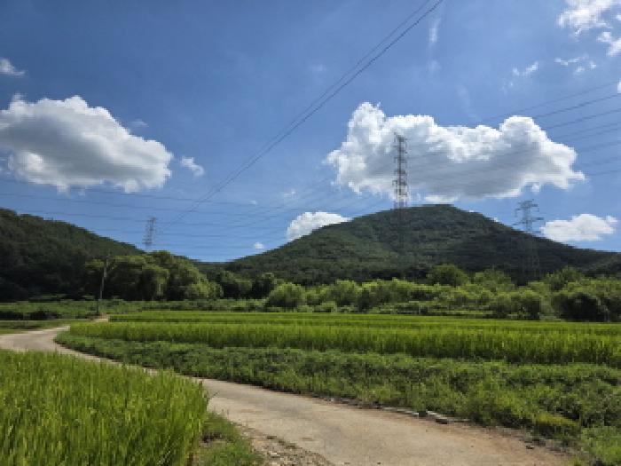 물건 대표 사진
