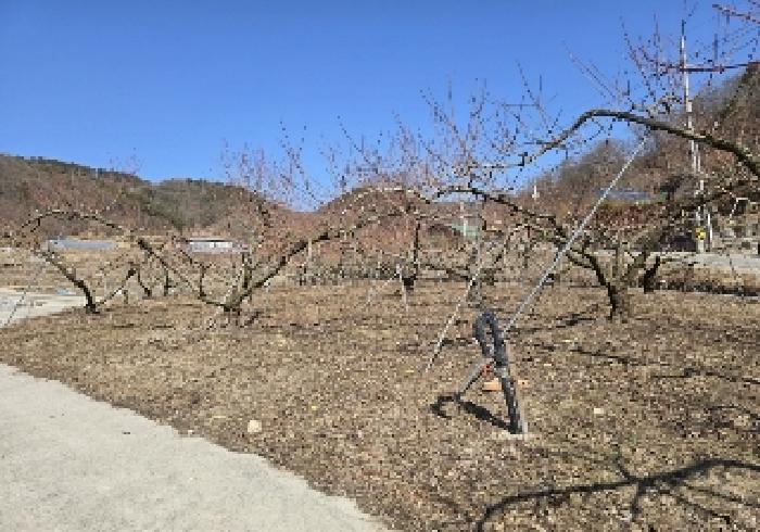 물건 대표 사진