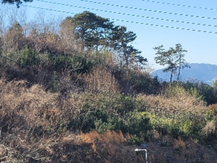 물건 대표 사진