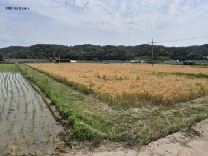 물건 대표 사진
