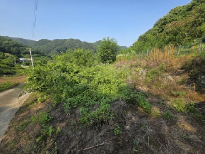 물건 대표 사진