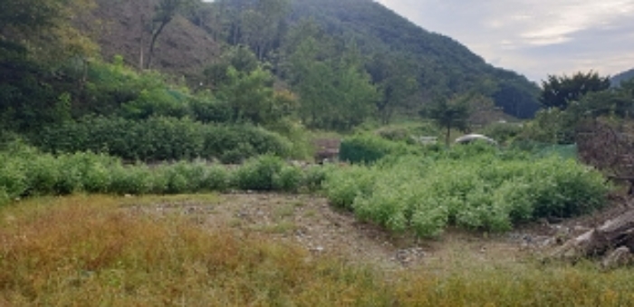 물건 대표 사진