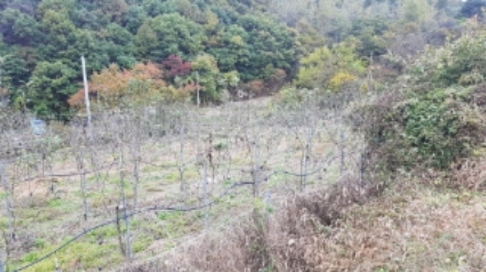 물건 대표 사진