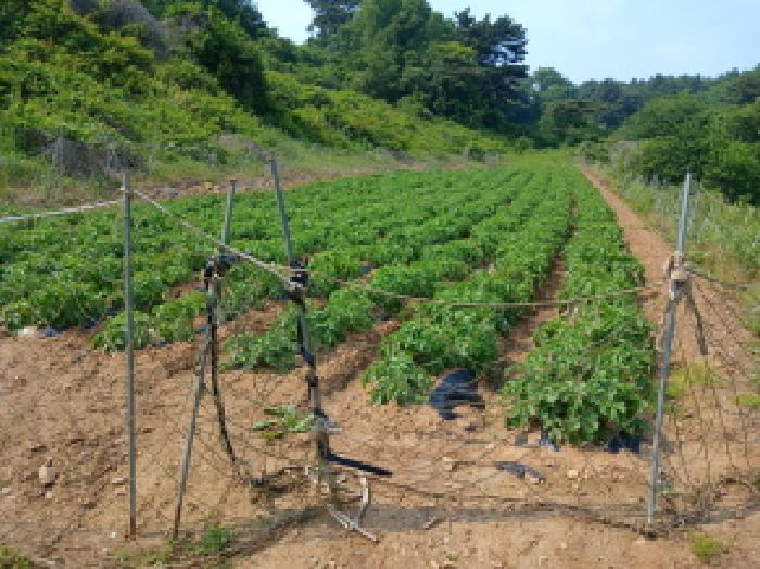 물건 대표 사진