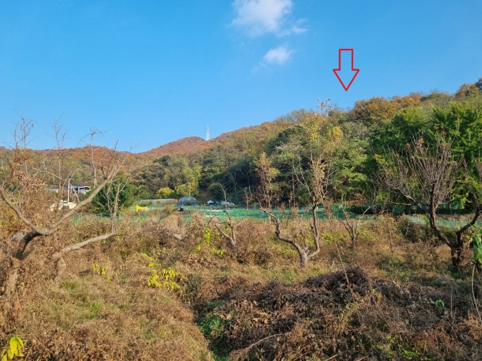물건 대표 사진