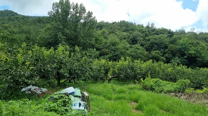 물건 대표 사진