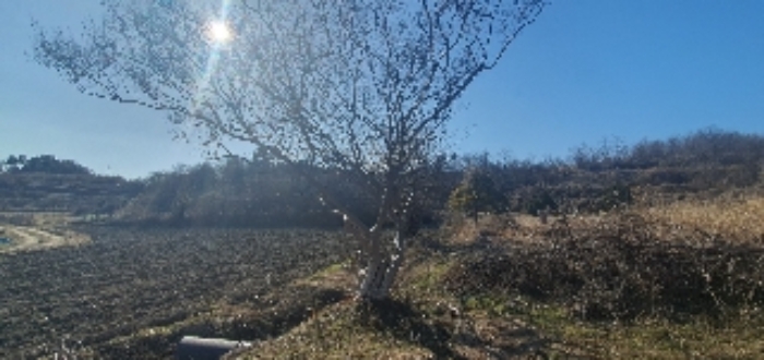 물건 대표 사진