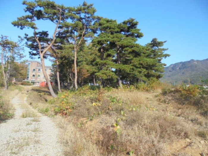 물건 대표 사진