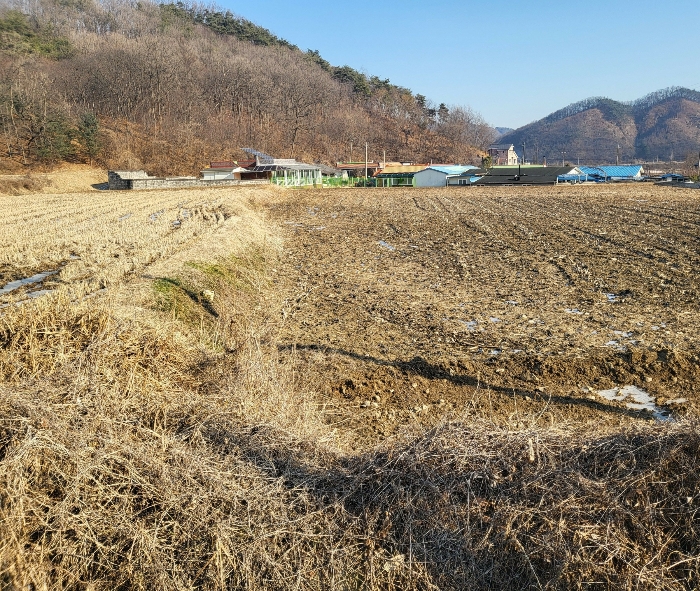 물건 대표 사진