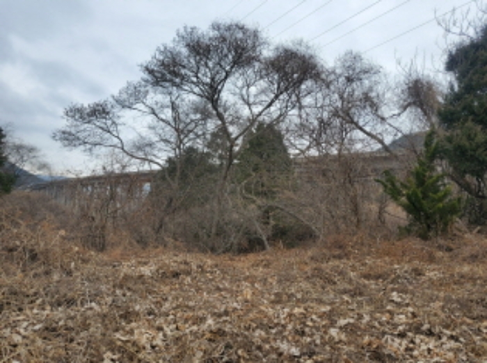 물건 대표 사진