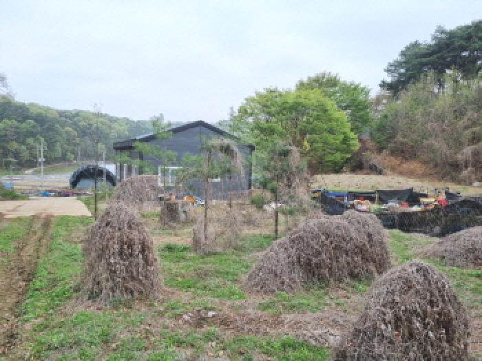 물건 대표 사진
