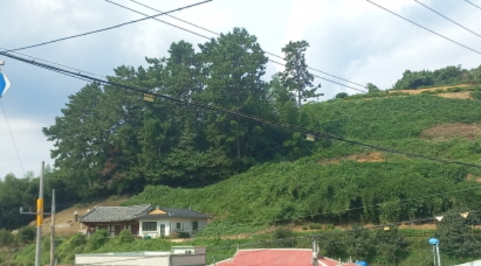 물건 대표 사진