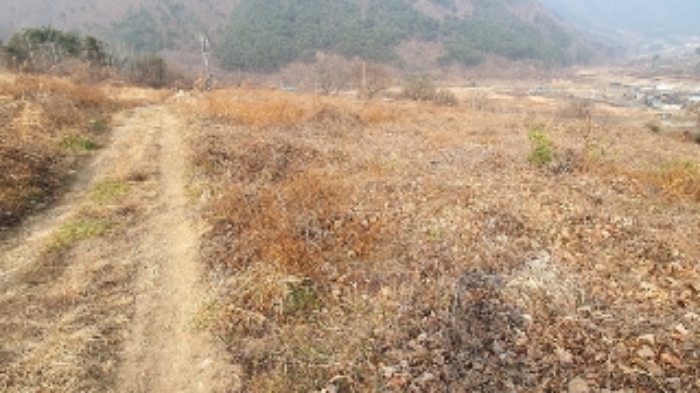 물건 대표 사진
