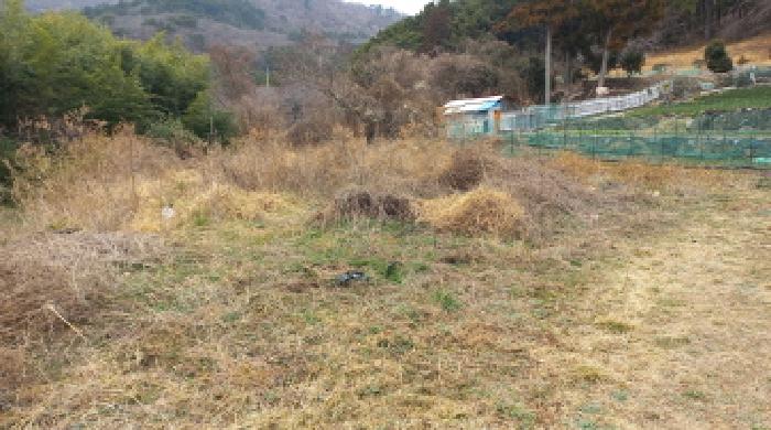 물건 대표 사진