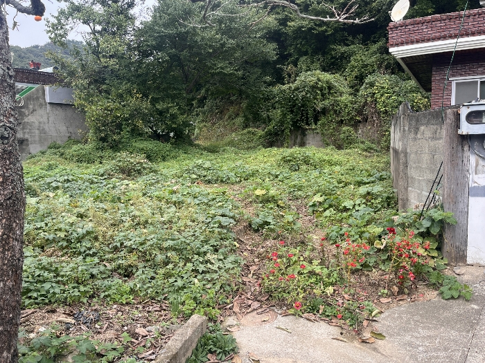 물건 대표 사진