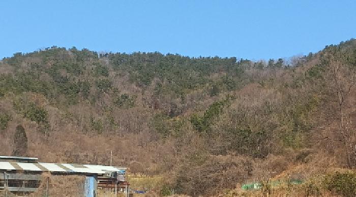 물건 대표 사진