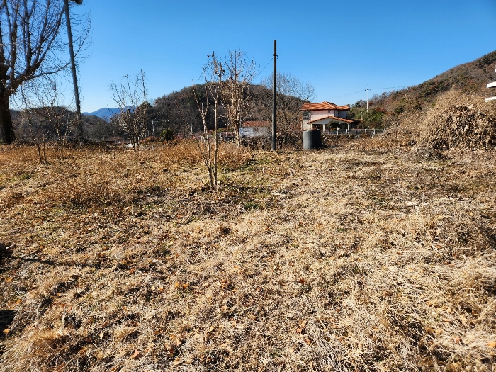 물건 대표 사진