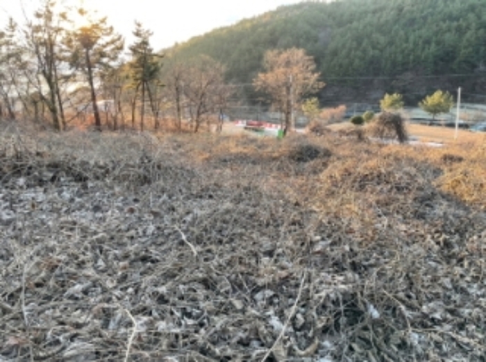 물건 대표 사진