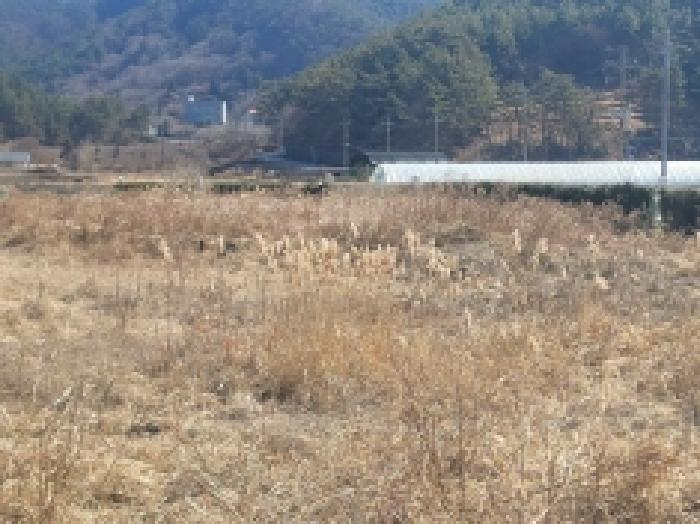 물건 대표 사진