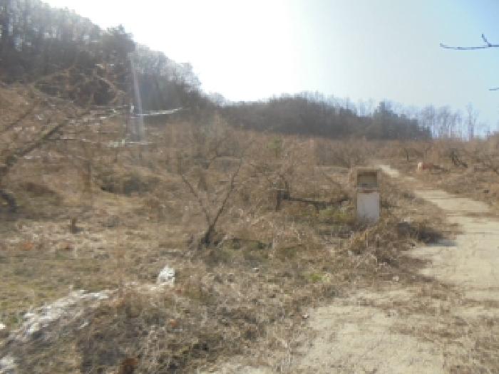 물건 대표 사진