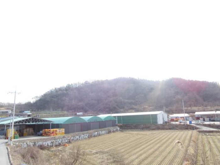 물건 대표 사진