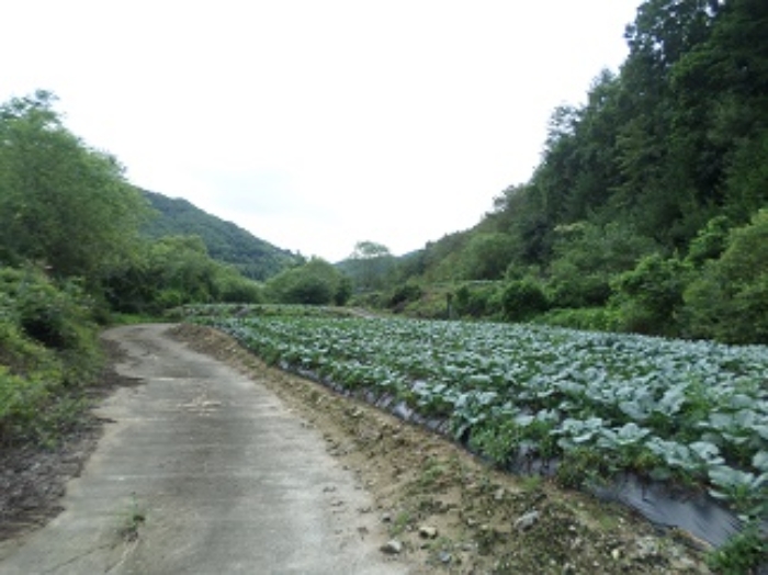 물건 대표 사진