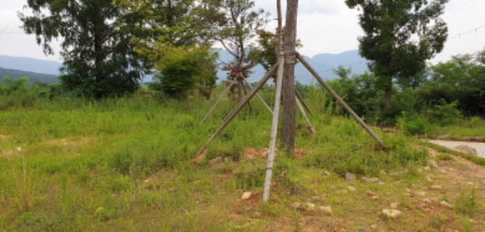 물건 대표 사진