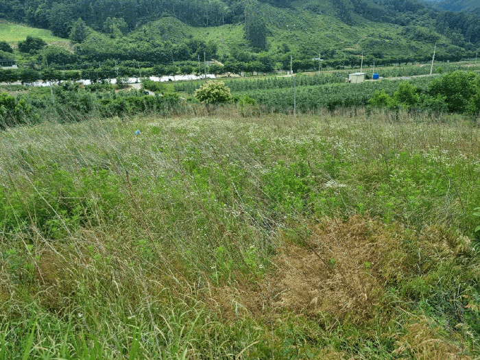 물건 대표 사진