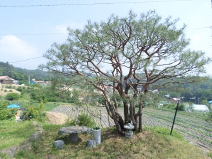 물건 대표 사진