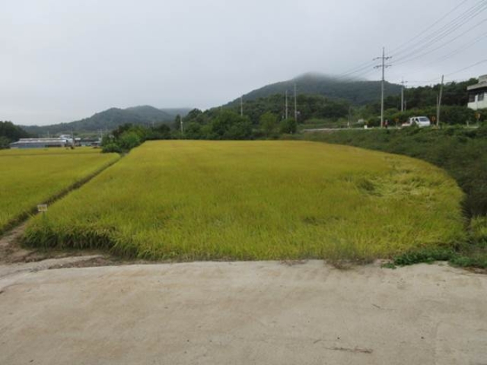 물건 대표 사진