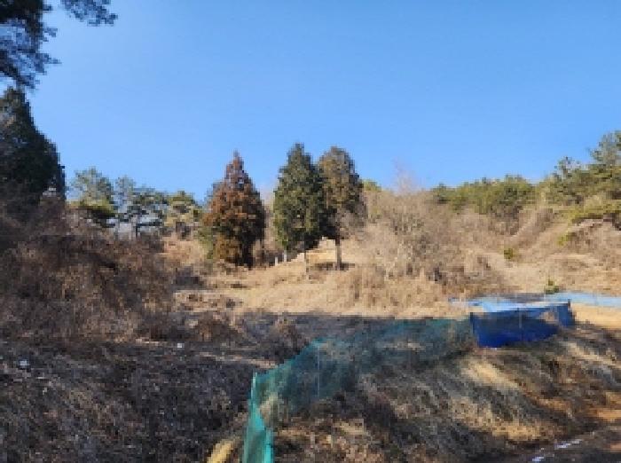 물건 대표 사진