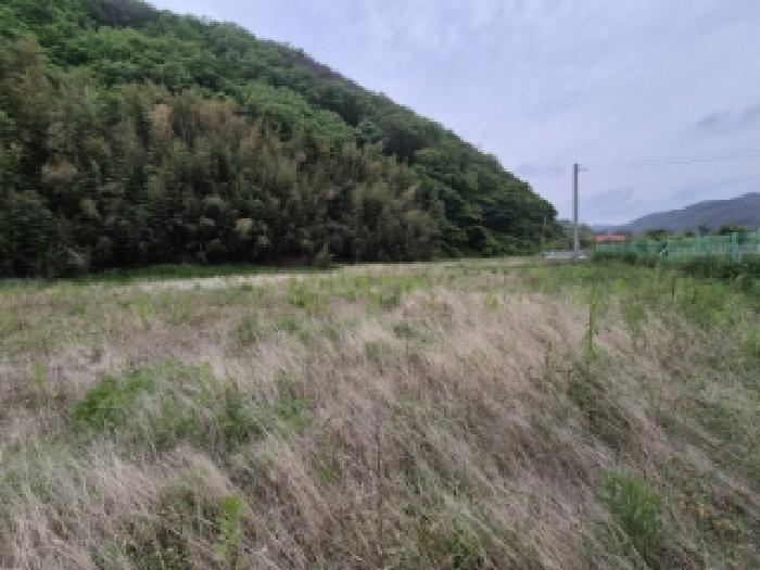 물건 대표 사진