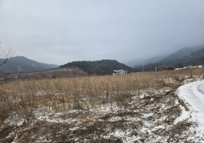 물건 대표 사진