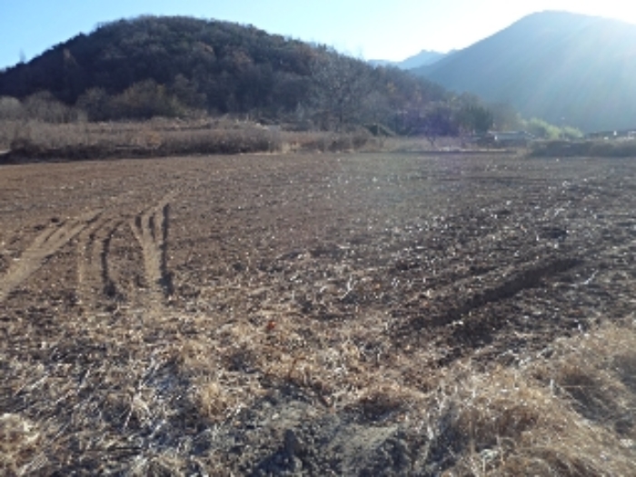 물건 대표 사진