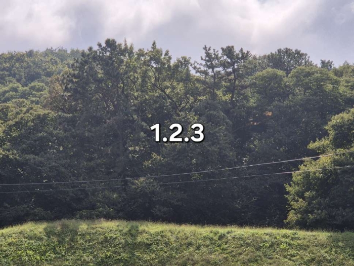 물건 대표 사진