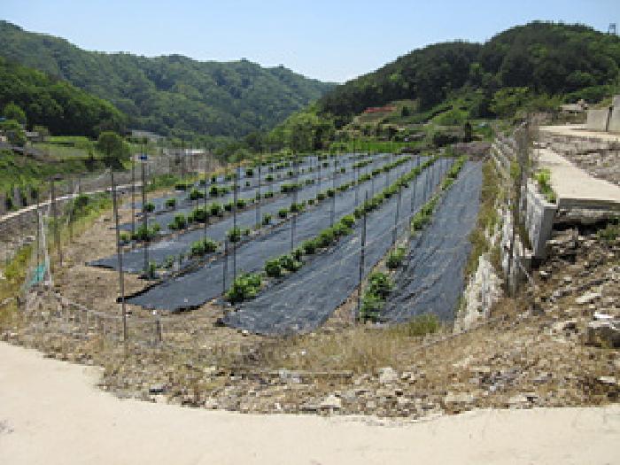 물건 대표 사진