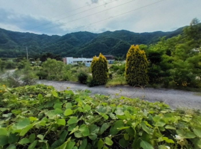 물건 대표 사진