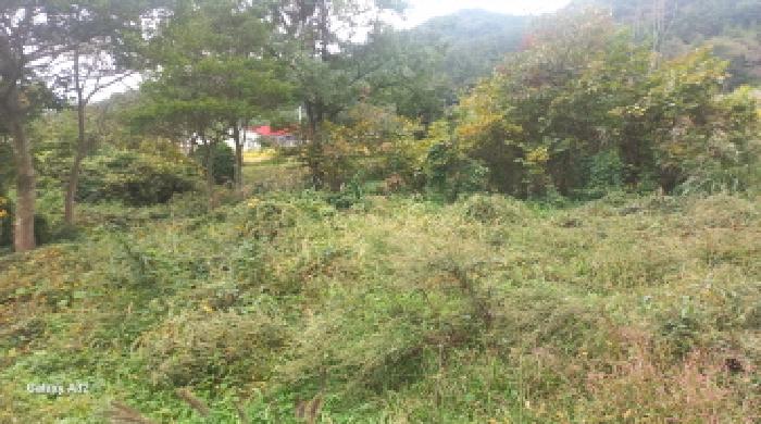 물건 대표 사진