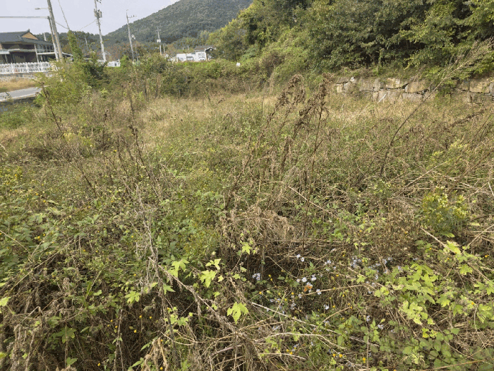 물건 대표 사진