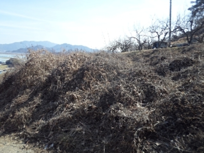 물건 대표 사진