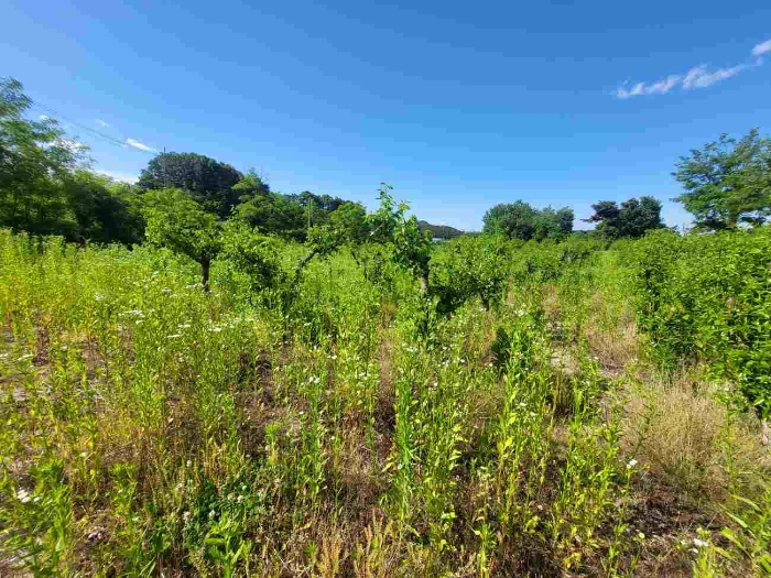 물건 대표 사진