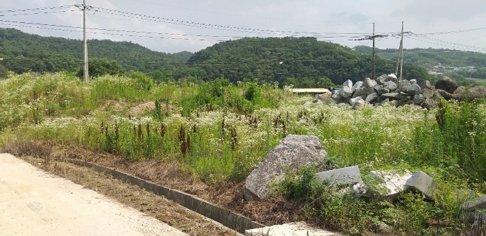 물건 대표 사진