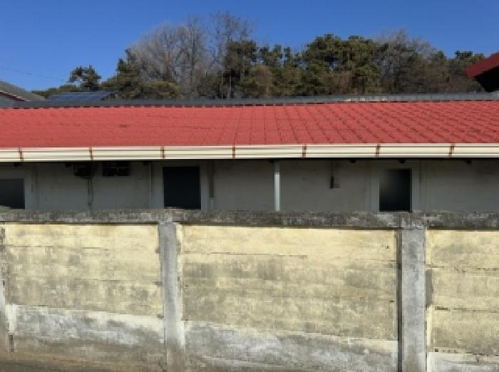 물건 대표 사진