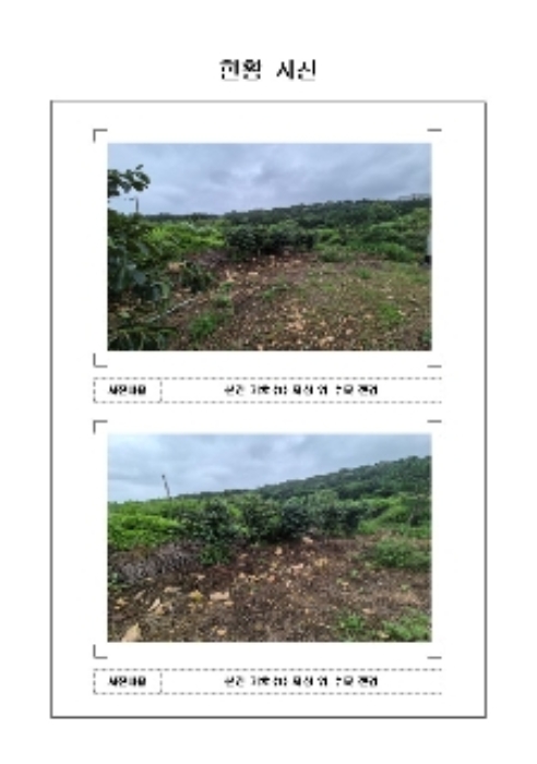 물건 대표 사진