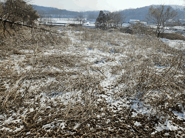 물건 대표 사진