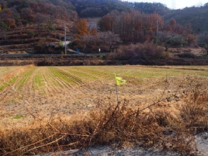 물건 대표 사진