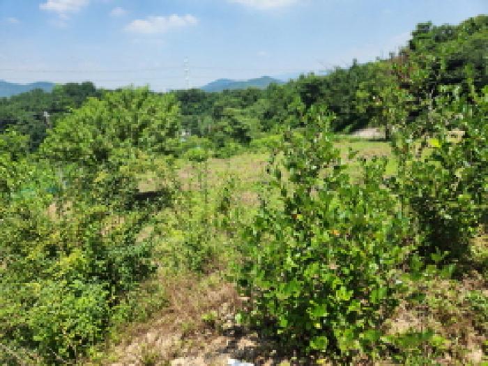 물건 대표 사진
