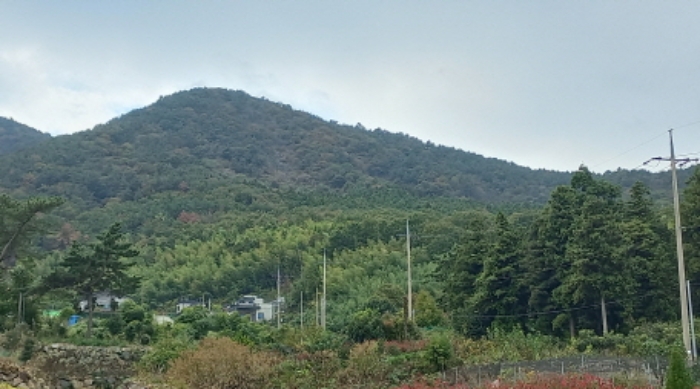 물건 대표 사진