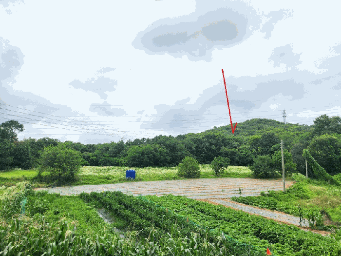 물건 대표 사진